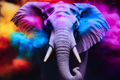 Color Burst Elephant 20in x 28in
