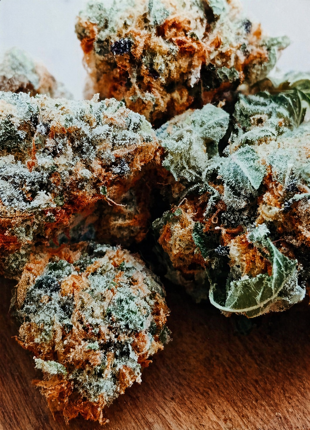 Frosty Buds 20in x 28in