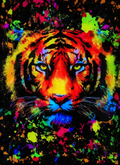Neon Tiger 20in x 28in