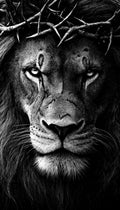 #2060L- Crowned King Lion