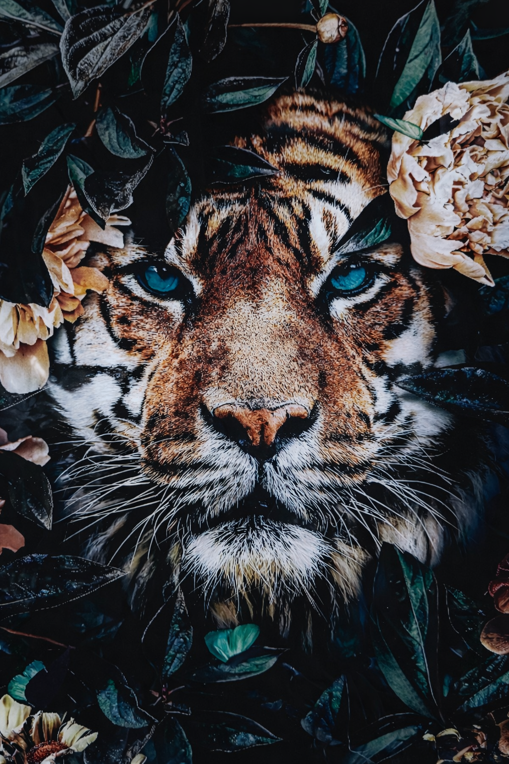 Majestic Tiger 3 Pack