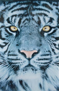 #1004L- White Tiger