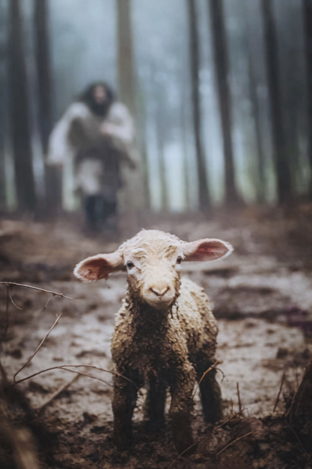 Lost Lamb 20in x 28in